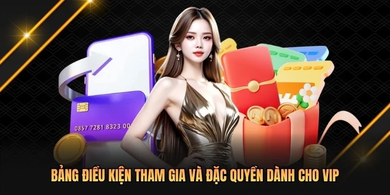 Bảng điều kiện tham gia và đặc quyền dành cho VIP